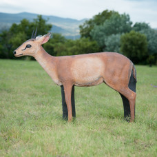 Wildcrete Duiker